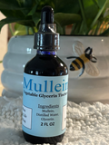 Mullein Tincture